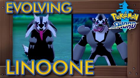 Expose it to a. . How to evolve linoone